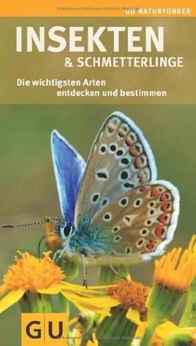 Insekten und Schmetterlinge: Die wichtigsten Arten entdecken und bestimmen