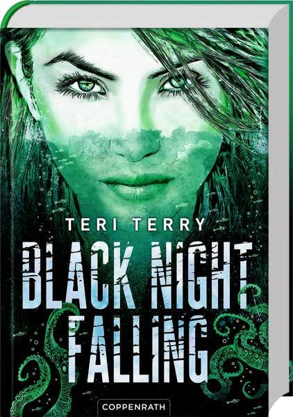 Black Night Falling (Bd. 3) (Dark Blue Rising, Band 3)