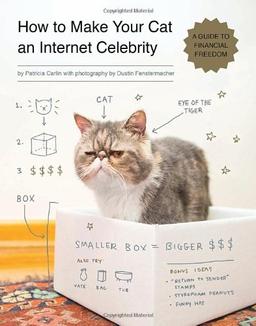 How to make your cat an Internet Celebrity