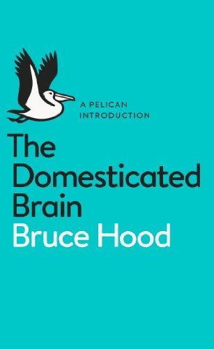 The Domesticated Brain: A Pelican Introduction (Pelican Books)