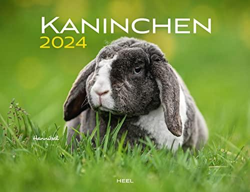 Kaninchen Eintragkalender 2024: Familienplaner