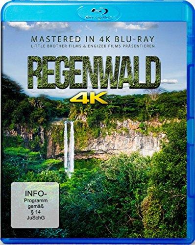 Regenwald - Rainforest  (4K Ultra HD) [Blu-ray]