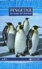 Pinguine - Kaiser der Antarktis [VHS]