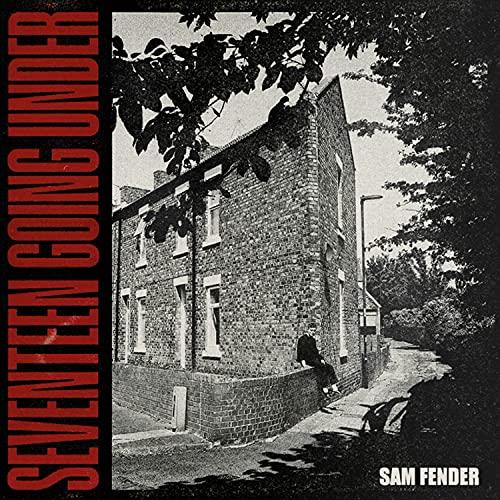 Seventeen Going Under [Vinyl LP]