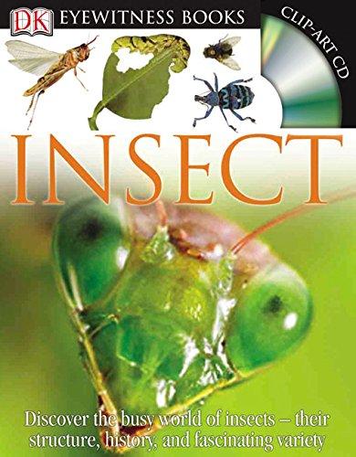 Insect (DK Eyewitness Books)