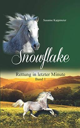 Snowflake: Rettung in letzter Minute