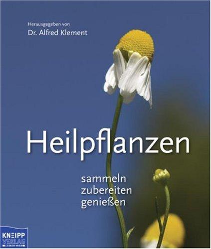 Heilpflanzen: Sammeln, zubereiten, genießen