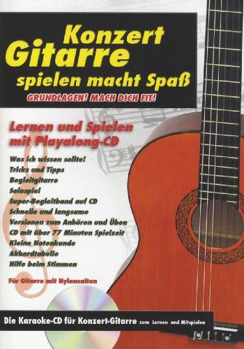 Konzert Gitarre Spielen Macht Spaß