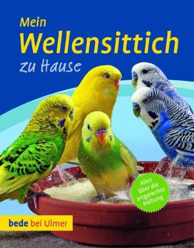 Mein Wellensittich zu Hause