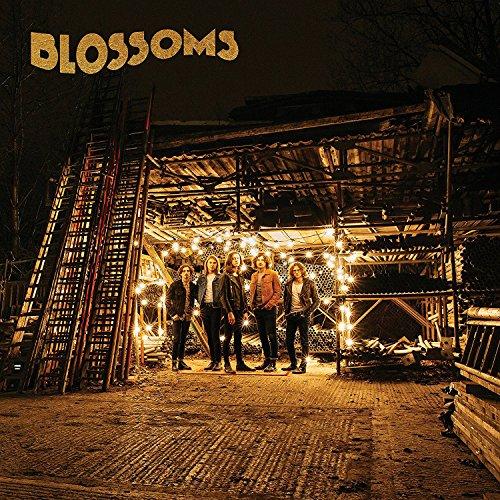 Blossoms (Vinyl) [Vinyl LP]