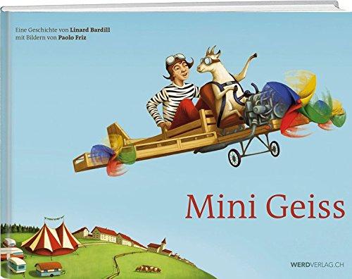 Mini Geiss