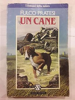 Un cane