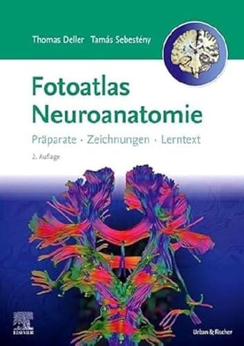 Fotoatlas Neuroanatomie