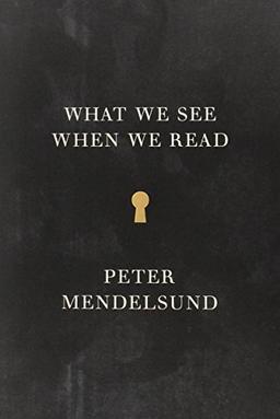 What We See When We Read (Vintage Original)