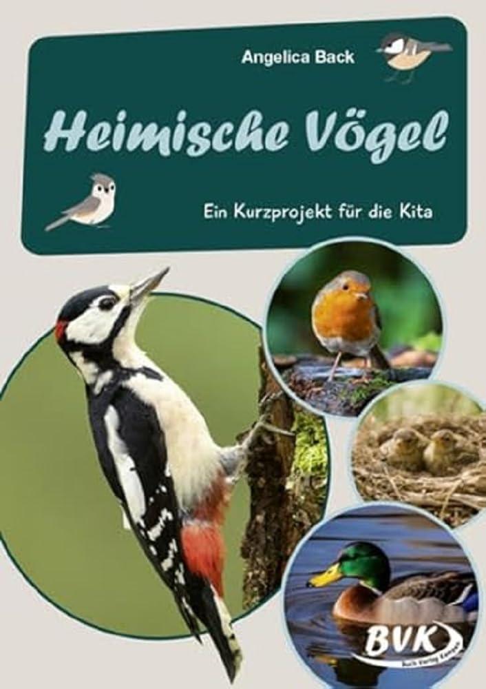 Heimische Vögel: Ein Kurzprojekt für die Kita (Kita-Kurzprojekte) (Kindergarten kompakt: Material für Erzieher) (BVK-Kurzprojekte)