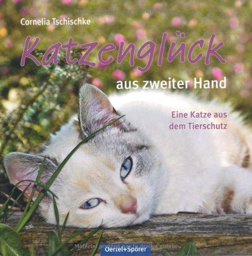 Katzenglück aus zweiter Hand: Eine Katze aus dem Tierschutz