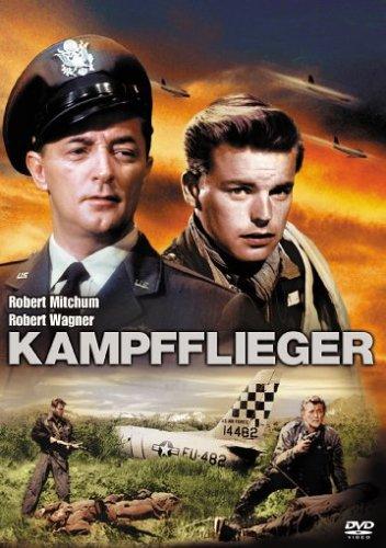 Die Kampfflieger