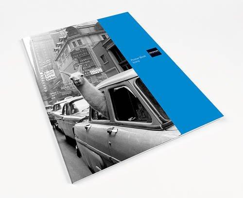 Magnum Photos: Poster Book (Icons) (Thames & Hudson Gift)