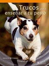 Trucos para enseñar a su perro