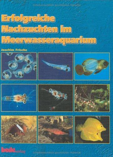 Erfolgreiche Nachzuchten im Meerwasseraquarium