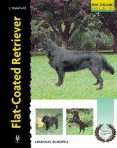 Flat-coated retriever (Excellence-Raza especial)