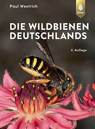 Die Wildbienen Deutschlands