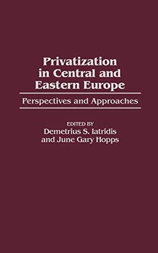 Privatization in Central and Eastern Europe: Perspectives and Approaches (Post-Communist Cultural Studies (Hardcover))