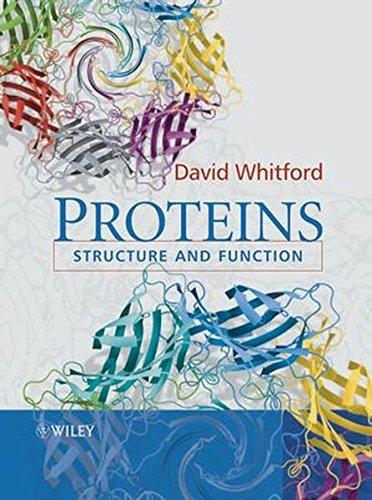 Proteins: Structure and Function