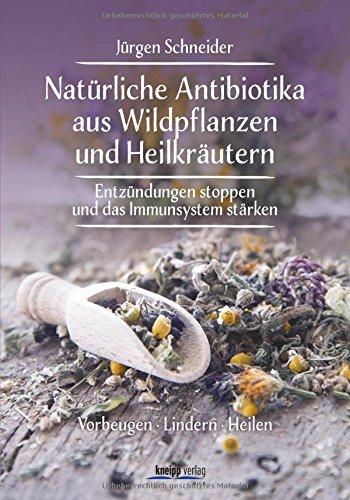 Natürliche Antibiotika aus Wildpflanzen und Heilkräutern: Entzündungen stoppen und das Immunsytsem stärken