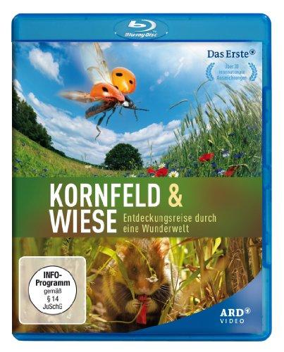 Kornfeld und Wiese - Entdeckungsreise durch eine Wunderwelt (Blu-Ray)