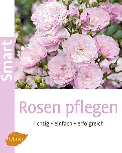 Rosen pflegen: Richtig, einfach, erfolgreich