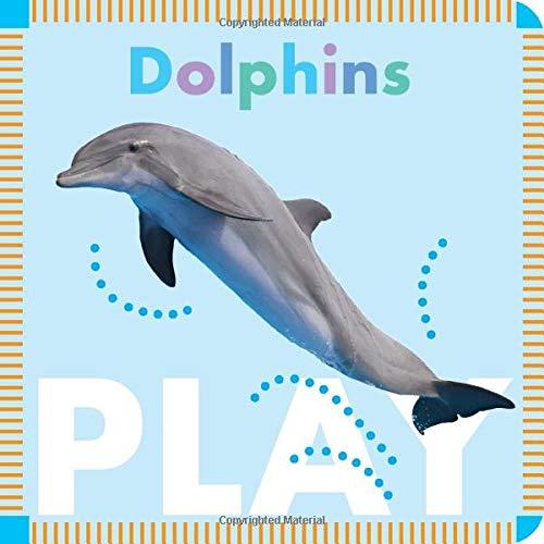 Dolphins Play (Amicus Ink Boardbooks)