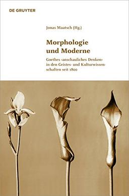 Morphologie und Moderne: Goethes &#x203A;anschauliches Denken&#x2039; in den Geistes- und Kulturwissenschaften seit 1800 (Klassik und Moderne, Band 5)