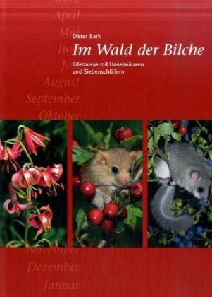 Im Wald der Bilche: Erlebnisse mit Haselmäusen und Siebenschläfern