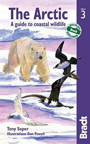 Arctic: A Guide to Coastal Wildlife (Bradt Travel Guide Arctic: A Guide to Coastal Wildlife)