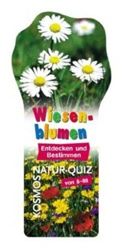 Wiesenblumen