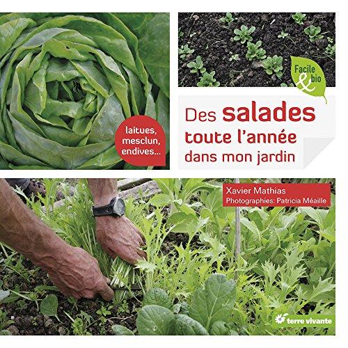 Des salades toute l'année dans mon jardin : laitues, mesclun, endives...