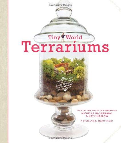 Tiny World Terrariums: A Step-By-Step Guide