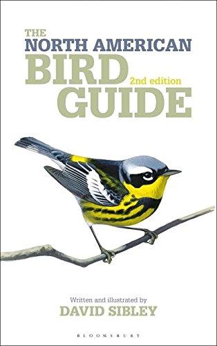 North American Bird Guide 2nd Edition (Helm Field Guides)