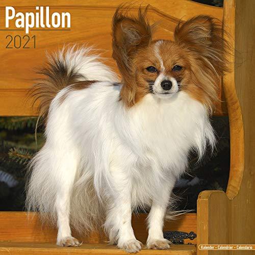 Papillon 2021 Wall Calendar