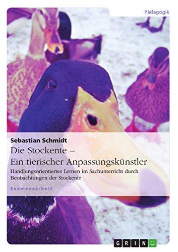 Die Stockente ¿ ein tierischer Anpassungskünstler: Handlungsorientiertes Lernen im Sachunterricht durch Beobachtungen der Stockente