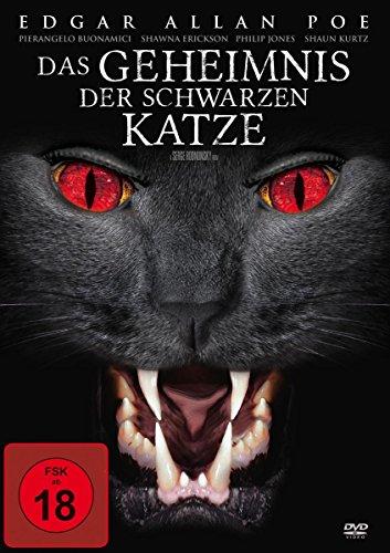 Das Geheimnis der schwarzen Katze