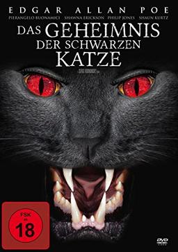 Das Geheimnis der schwarzen Katze