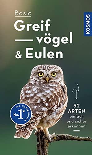 Basic Greifvögel und Eulen: einfach und sicher erkennen