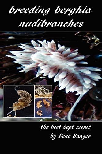 Breeding Berghia Nudibranches the best kept secret