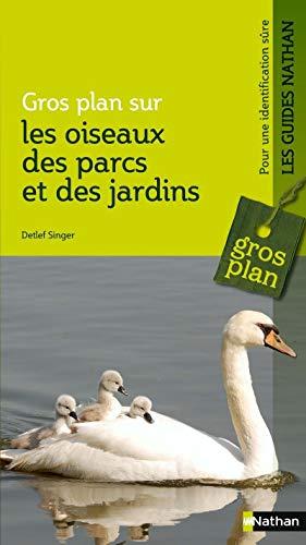 Gros plan sur les oiseaux des parcs et des jardins