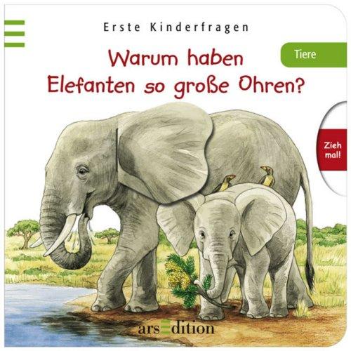 Warum haben Elefanten so große Ohren?: Erste Kinderfragen