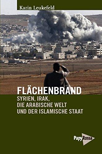 Flächenbrand: Syrien, Irak, die Arabische Welt und der Islamische Staat (Neue Kleine Bibliothek)