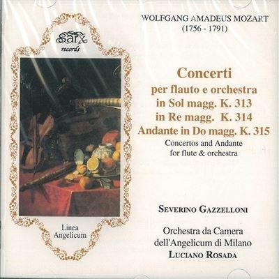 Concerto Per Flauto K 313 N.1 (285c)