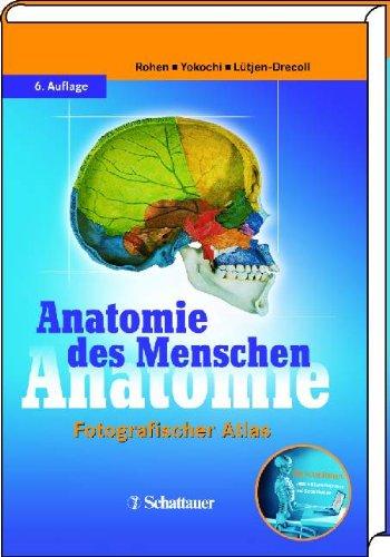 Anatomie des Menschen